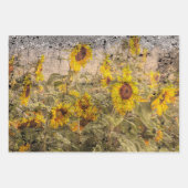 zonnebloem Veldgele grunge textuur Inpakpapier Vel (Voorkant 3)