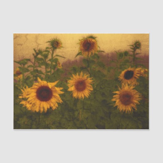 Zonnebloem Veldtextuur Geel Groene Kunst Tissuepapier (Voorkant)