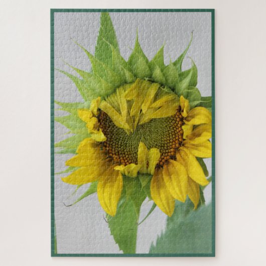 Zonnebloem "Verlegen" Puzzel (Verticaal)