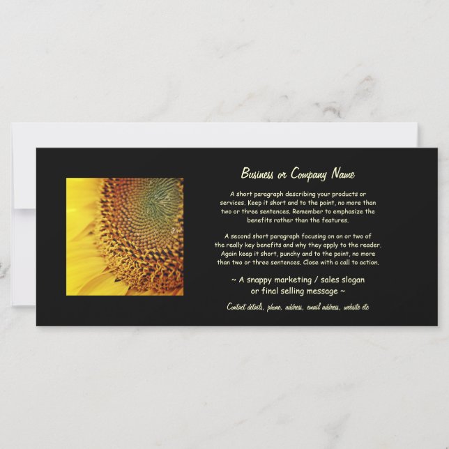 Zonnebloem, vers en gouden bloemen (Voorkant)