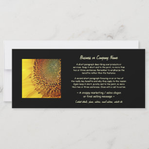 Zonnebloem, vers en gouden bloemen