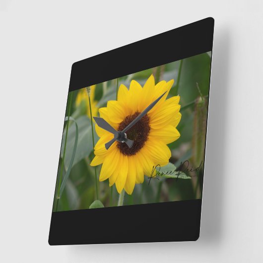 Zonnebloem Vierkante Klok (Hoek)