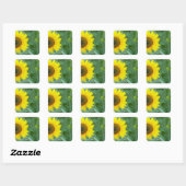 Zonnebloem Vierkante Sticker (Vel)