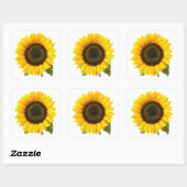 Zonnebloem Vierkante Sticker (Vel)