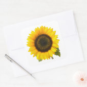 Zonnebloem Vierkante Sticker (Envelop)
