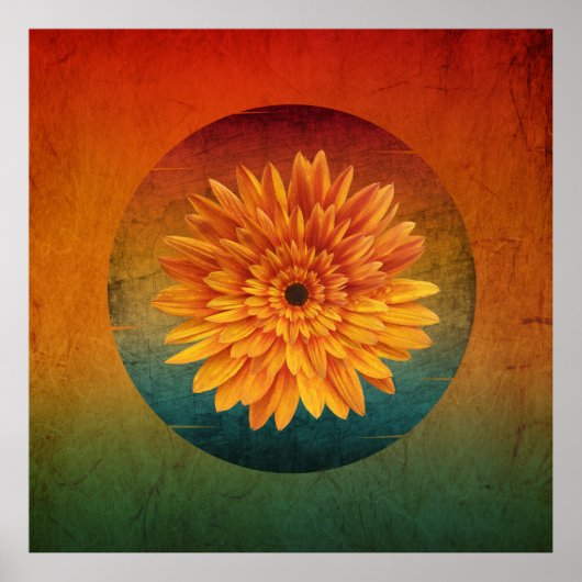 zonnebloem vintage bloem poster (Voorkant)