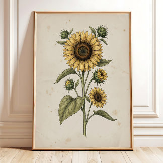 Zonnebloem Vintage Boerderij Muur Kunst Poster