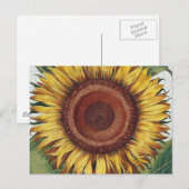 Zonnebloem Vintage Damask Flower Art Briefkaart (Voorkant / Achterkant)