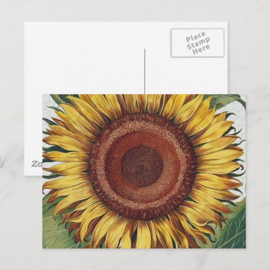 Zonnebloem Vintage Damask Flower Art Briefkaart (Voorkant / Achterkant)