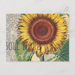 Zonnebloem Vintage Damask Flower Art Briefkaart