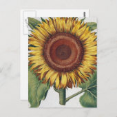 Zonnebloem Vintage Damask Flower Art Briefkaart (Voorkant / Achterkant)