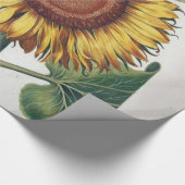 Zonnebloem Vintage Damast Bloem Kunst Cadeaupapier (Hoek)