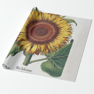 Zonnebloem Vintage Damast Bloem Kunst Cadeaupapier