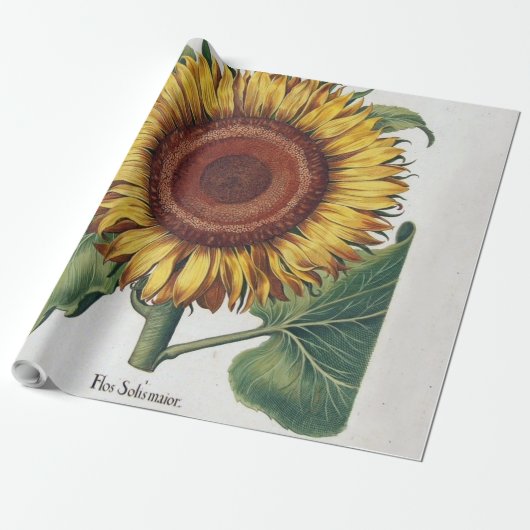Zonnebloem Vintage Damast Bloem Kunst Cadeaupapier (Uitgerold)