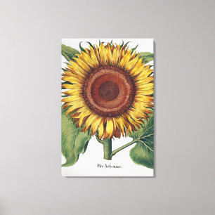 Zonnebloem Vintage Damast Bloem Kunst Canvas Afdruk