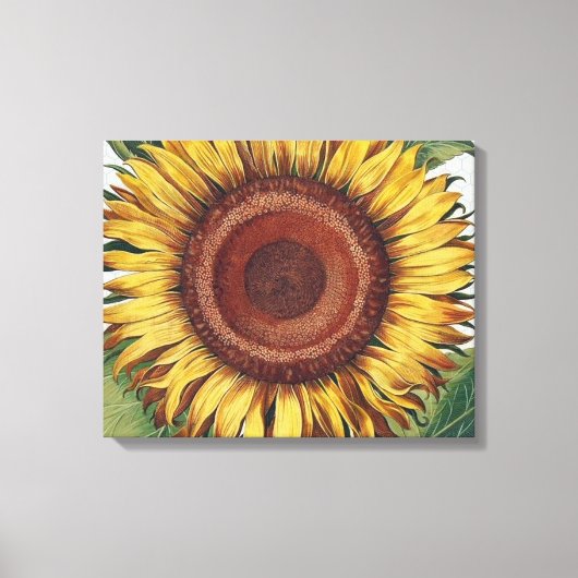 Zonnebloem Vintage Damast Bloem Kunst Canvas Afdruk (Voorkant)