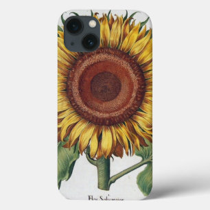 Zonnebloem Vintage Damast Bloem Kunst Case-Mate iPhone Case