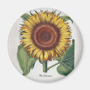 Zonnebloem Vintage Damast Bloem Kunst Magneet