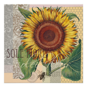 Zonnebloem Vintage Damast Bloem Kunst Perfect Poster