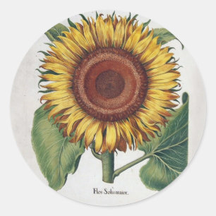 Zonnebloem Vintage Damast Bloem Kunst Ronde Sticker
