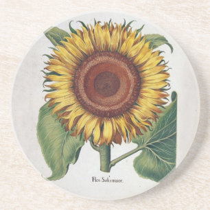 Zonnebloem Vintage Damast Bloem Kunst Zandsteen Onderzetter