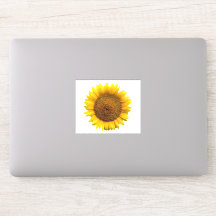 Zonnebloem vinyl sticker