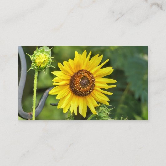 Zonnebloem Visitekaartje (Voorkant)