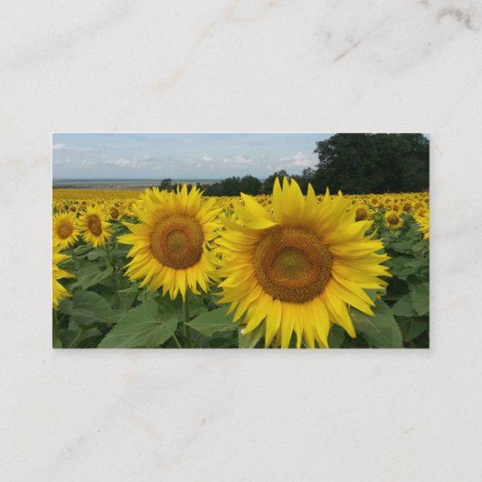 Zonnebloem Visitekaartje (Achterkant)
