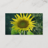 Zonnebloem Visitekaartjes (Voorkant)