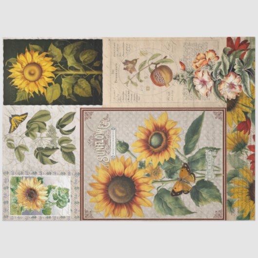  Zonnebloem Vlinderzaadpakket Ephemera Tissuepapier (Voorkant)