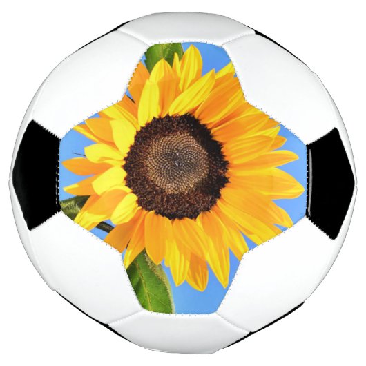 Zonnebloem Voetbal (Gedraaid)