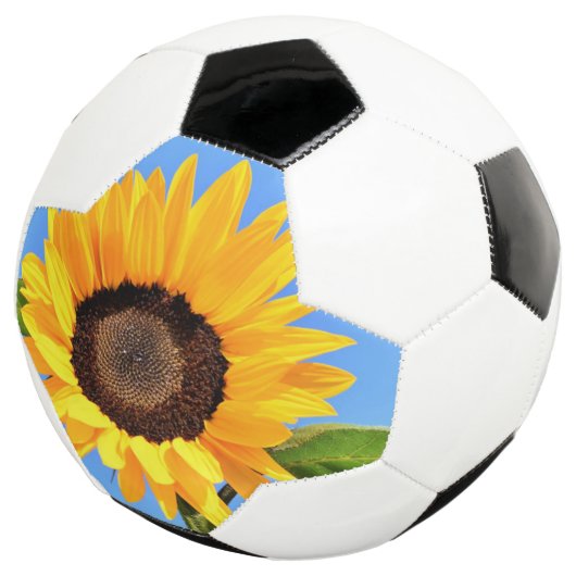 Zonnebloem Voetbal (Drie kwart)