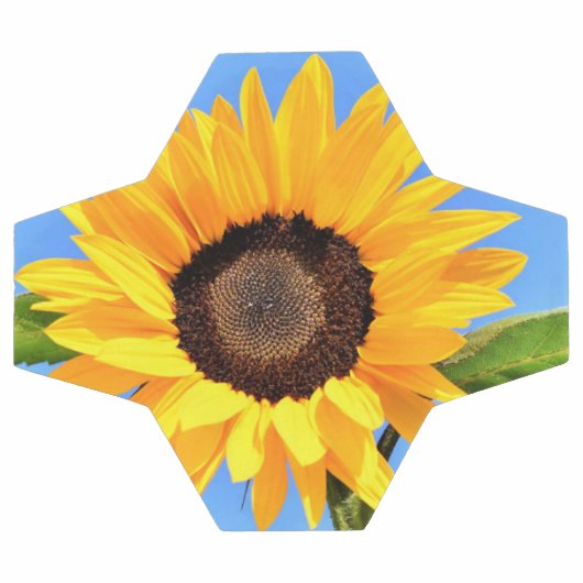 Zonnebloem Voetbal (Enkel)