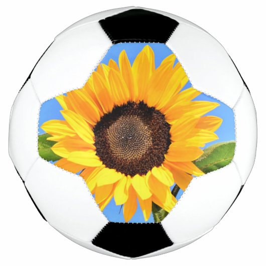 Zonnebloem Voetbal (Voorkant)