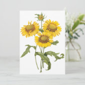 Zonnebloem voor de bloem van de banket - Redoute u (Staand voorkant)