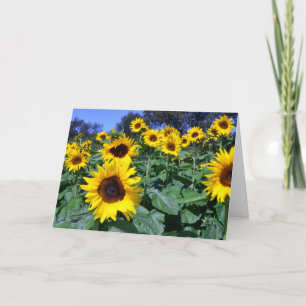 Zonnebloem voor Mamma Kaart
