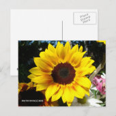 Zonnebloem & Vrienden Boeket - Briefkaart (Voorkant / Achterkant)