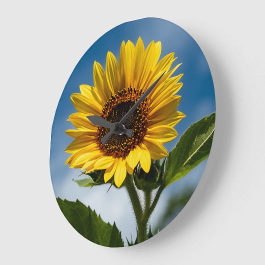 Zonnebloem wandklok (Hoek)