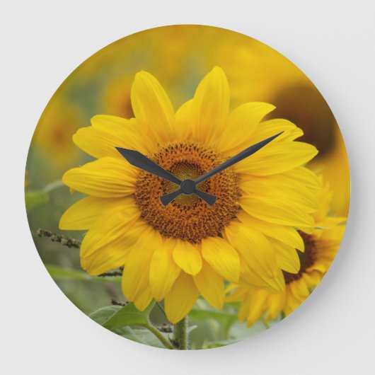 Zonnebloem wandklok (Voorkant)
