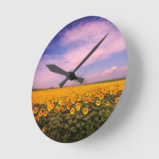 Zonnebloem Wandsluiting Ronde Klok (Hoek)