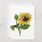  Zonnebloem... We hebben beweging. | Nieuw adres Kaart (Achterkant)