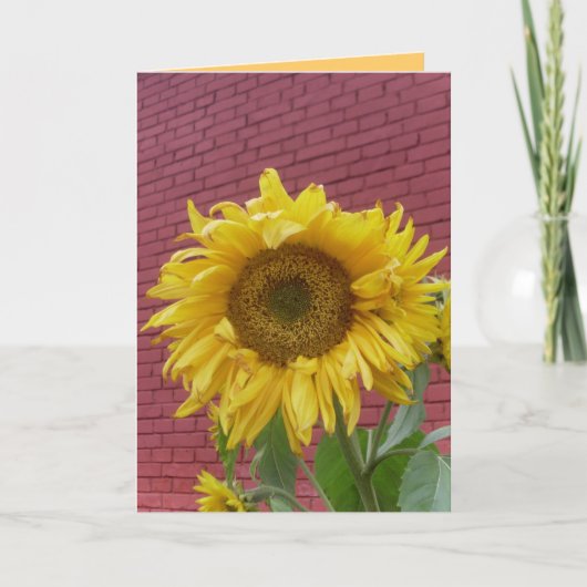 Zonnebloem Wenskaart Kaart (Voorkant)