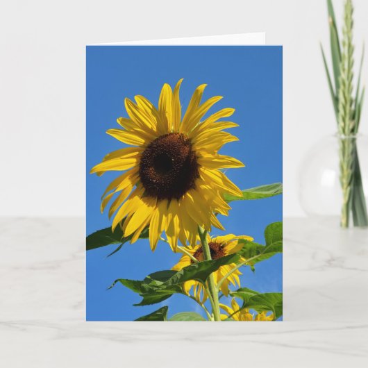 Zonnebloem wenskaart kaart (Voorkant)
