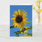 Zonnebloem wenskaart kaart (Gele Bloem)