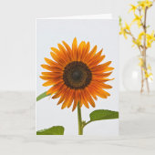 Zonnebloem-Wenskaart voor de zomeravond Kaart (Gele Bloem)