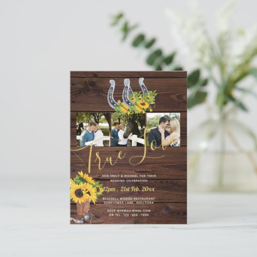 Zonnebloem Westerse Schuur Hoefijzers Foto Briefkaart (Staand voorkant)