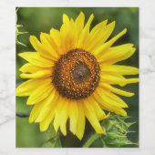 Zonnebloem Wijn Etiket (Enkel label)