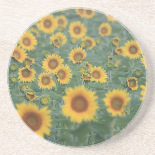 Zonnebloem Zandsteen Onderzetter (Voorkant)