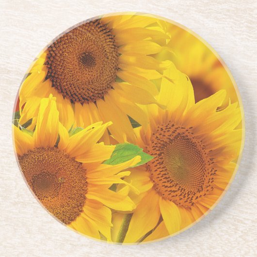 Zonnebloem Zandsteen Onderzetter (Voorkant)