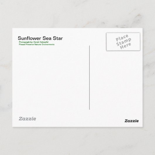 Zonnebloem Zee Star - Briefkaart (Achterkant)